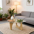 //img.ltwebstatic.com/v4/j/spmp/2026/01/07/bd/17677751380c8a6c11c00a404861f1cf91100e2e92_square_thumbnail_900x.webp