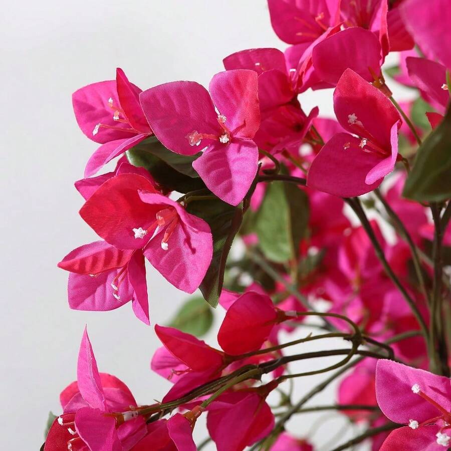 //img.ltwebstatic.com/v4/j/spmp/2026/01/13/17/1768290580dd33cf71afcdfcf947b8b520112fb736_square_thumbnail_900x.webp